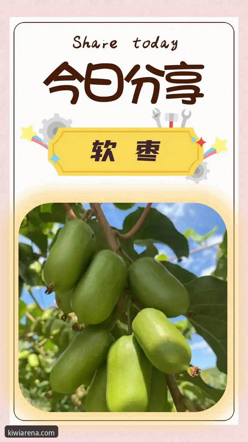 奇异果体育平台实用指南：从官方下载到赛事数据解析的必备知识